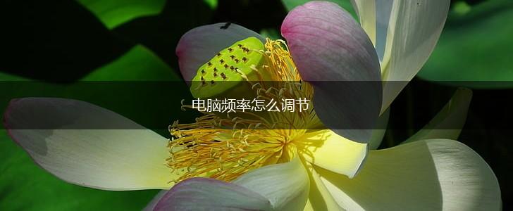 电脑频率怎么调节,第1张
