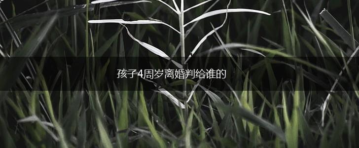 孩子4周岁离婚判给谁的,第1张