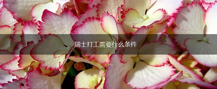 瑞士打工需要什么条件,第1张