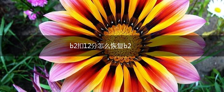 b2扣12分怎么恢复b2,第1张