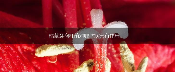 枯草芽孢杆菌对哪些病害有作用,第1张