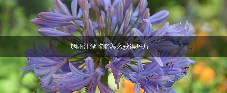 烟雨江湖攻略怎么获得丹方,第1张