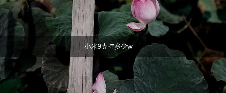 小米9支持多少w,第1张