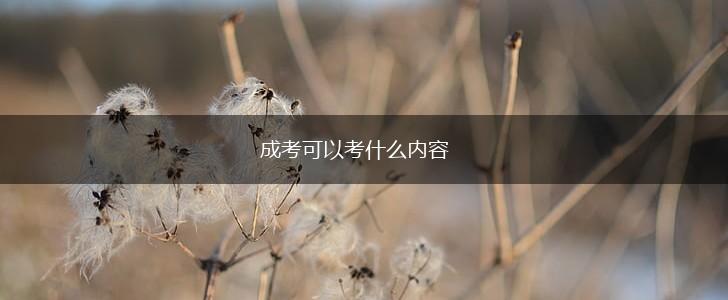 成考可以考什么内容,第1张