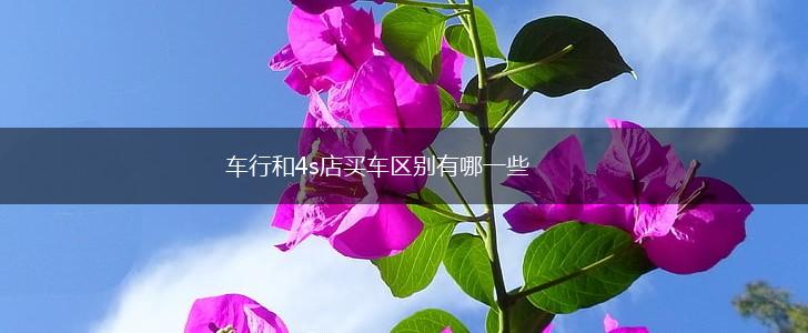 车行和4s店买车区别有哪一些,第1张
