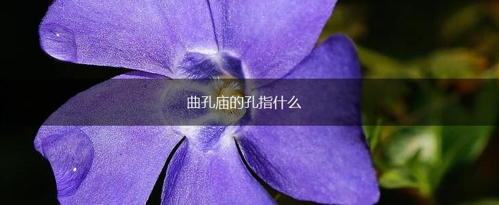 曲孔庙的孔指什么,第1张