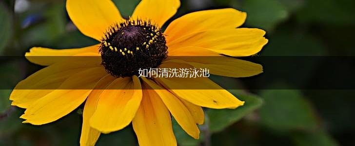 如何清洗游泳池,第1张