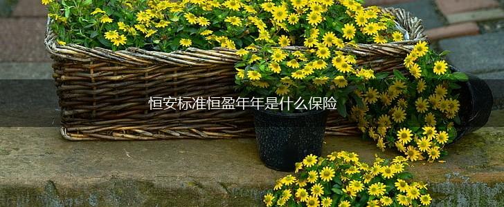 恒安标准恒盈年年是什么保险,第1张