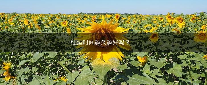 红酒时间越久越好吗？,第1张
