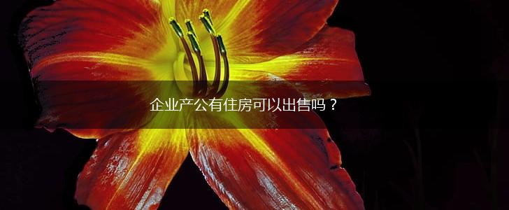 企业产公有住房可以出售吗？,第1张