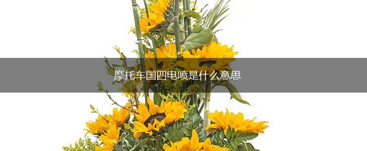 摩托车国四电喷是什么意思,第1张