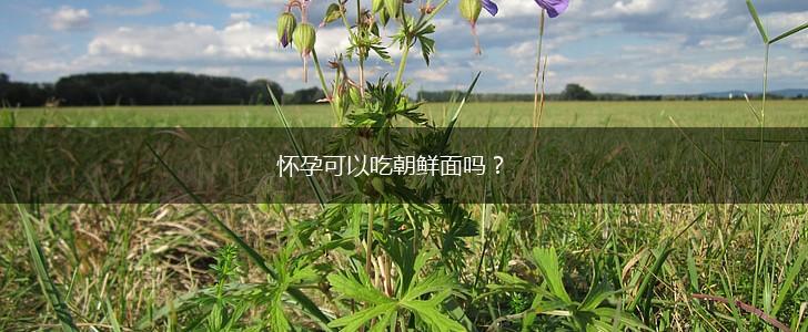 怀孕可以吃朝鲜面吗？,第1张