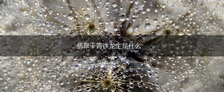 翡翠干青铁龙生是什么,第1张