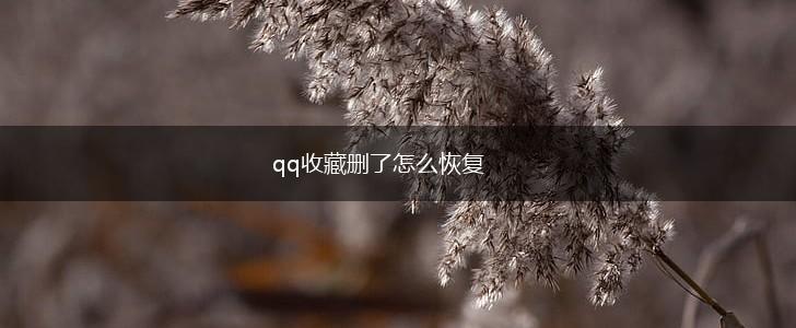 qq收藏删了怎么恢复,第1张