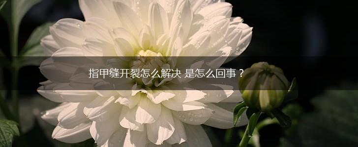 指甲缝开裂怎么解决 是怎么回事？,第1张