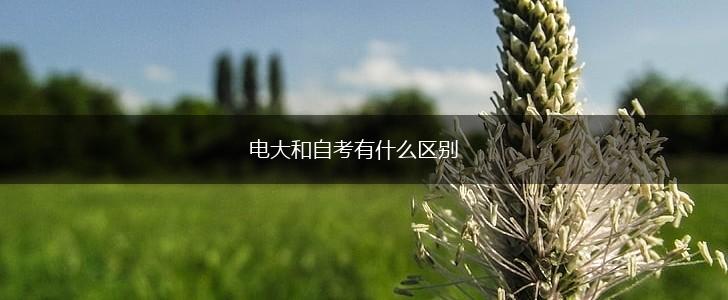 电大和自考有什么区别,第1张