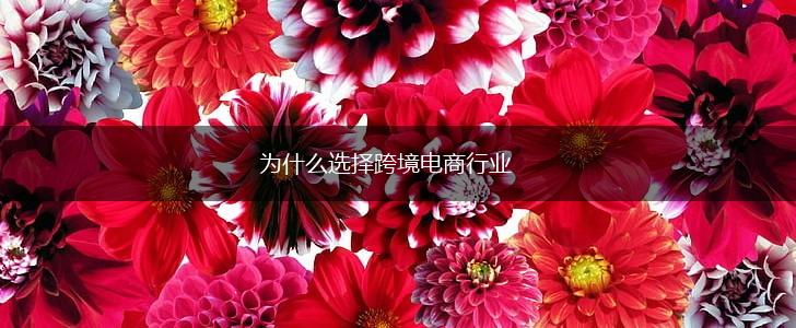 为什么选择跨境电商行业,第1张