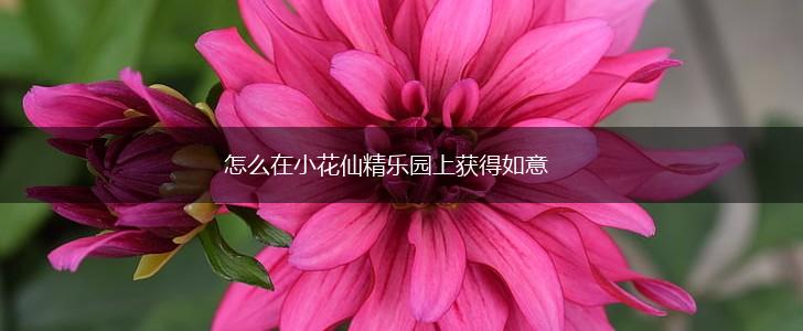 怎么在小花仙精乐园上获得如意,第1张