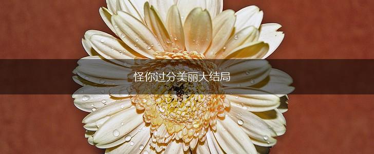 怪你过分美丽大结局,第1张