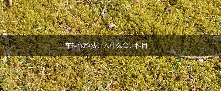车辆保险费计入什么会计科目,第1张