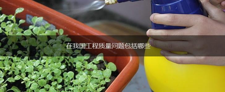 在我国工程质量问题包括哪些,第1张