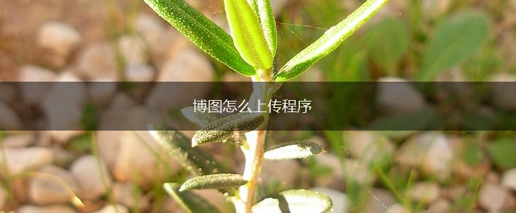 博图怎么上传程序,第1张