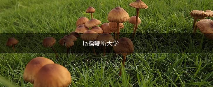 la指哪所大学,第1张