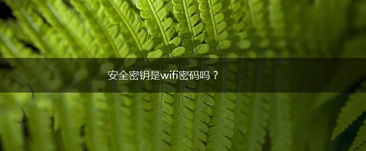 安全密钥是wifi密码吗？,第1张