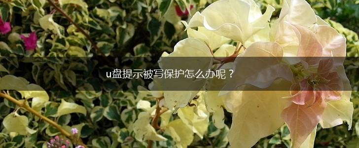 u盘提示被写保护怎么办呢？,第1张