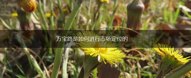 万宝路是如何进行市场定位的,第1张