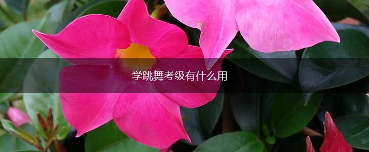 学跳舞考级有什么用,第1张