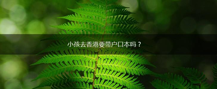 小孩去香港要带户口本吗？,第1张