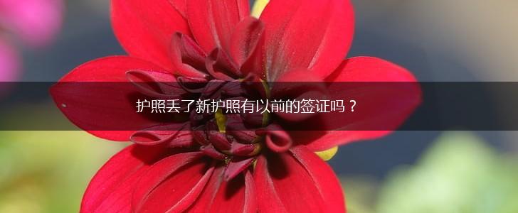 护照丢了新护照有以前的签证吗？,第1张