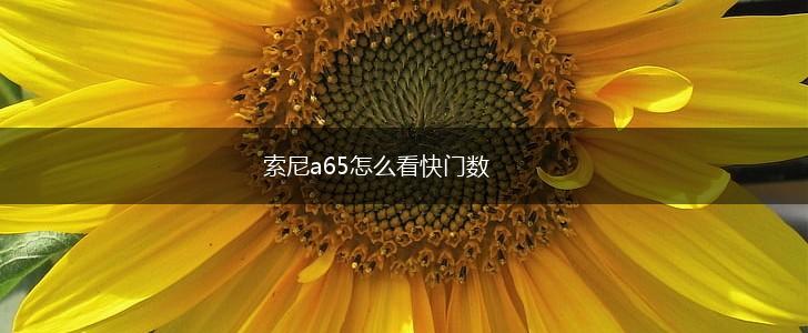 索尼a65怎么看快门数,第1张