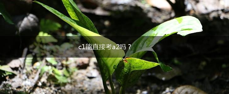 c1能直接考a2吗？,第1张