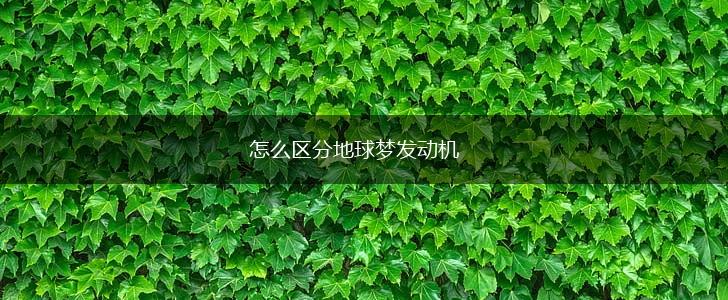 怎么区分地球梦发动机,第1张
