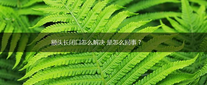 额头长闭口怎么解决 是怎么回事？,第1张