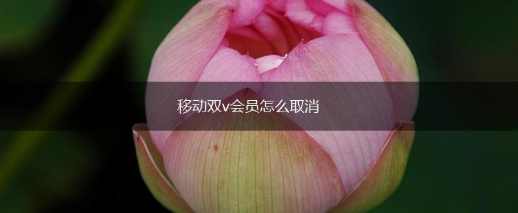移动双v会员怎么取消,第1张