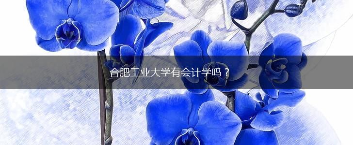 合肥工业大学有会计学吗？,第1张