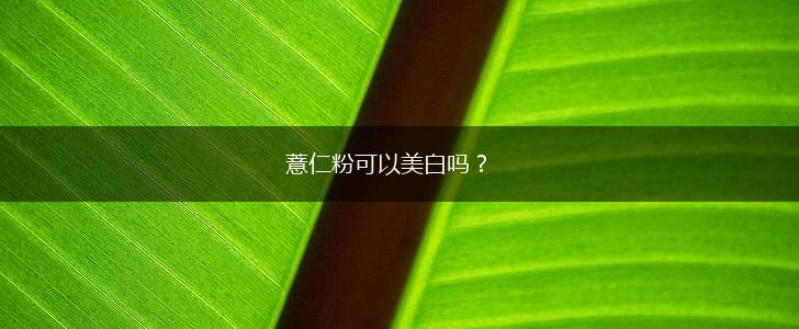 薏仁粉可以美白吗？,第1张