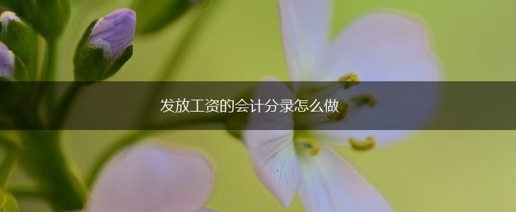 发放工资的会计分录怎么做,第1张