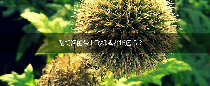 刮胡泡能带上飞机或者托运吗？,第1张