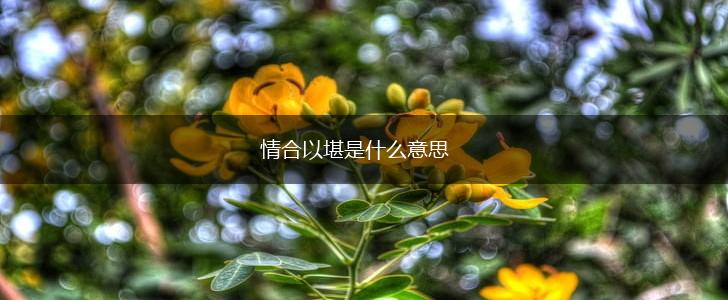 情合以堪是什么意思,第1张