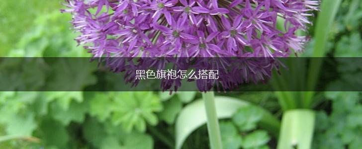 黑色旗袍怎么搭配,第1张
