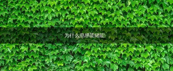 为什么电感能储能,第1张