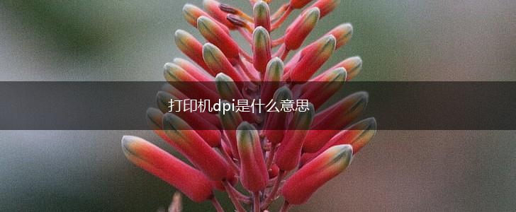 打印机dpi是什么意思,第1张