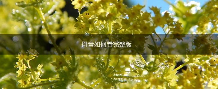 抖音如何看完整版,第1张