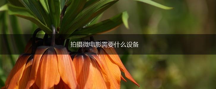 拍摄微电影需要什么设备,第1张