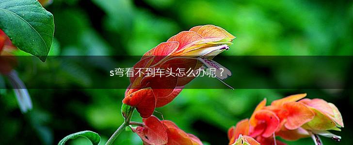 s弯看不到车头怎么办呢？,第1张