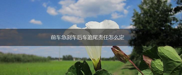 前车急刹车后车追尾责任怎么定,第1张